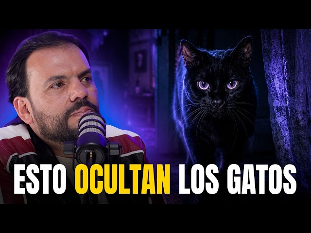 The SECRET POWER of CATS ⚠️ WHAT THEY’RE HIDING FROM US