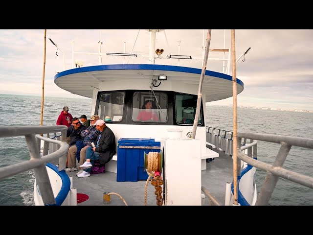 Dockside Chat w/ the Crew: Fishing is on Fire, On the Water Updates, HUGE Snapper - Deep Sea Fishing