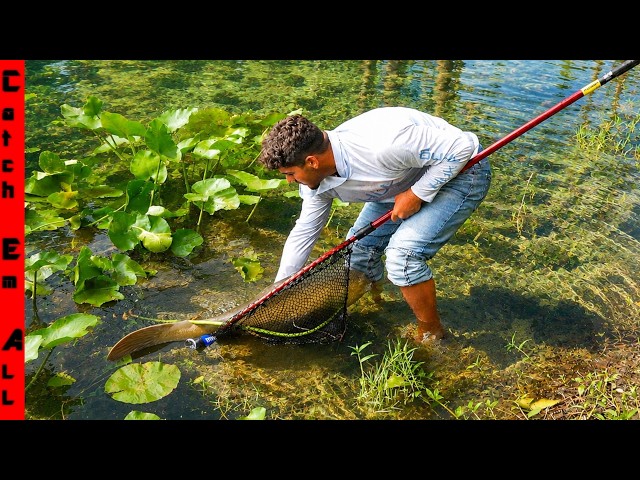 We FOUND a GIANT EXOTIC FISH in the NEW HOUSE BACKYARD POND!