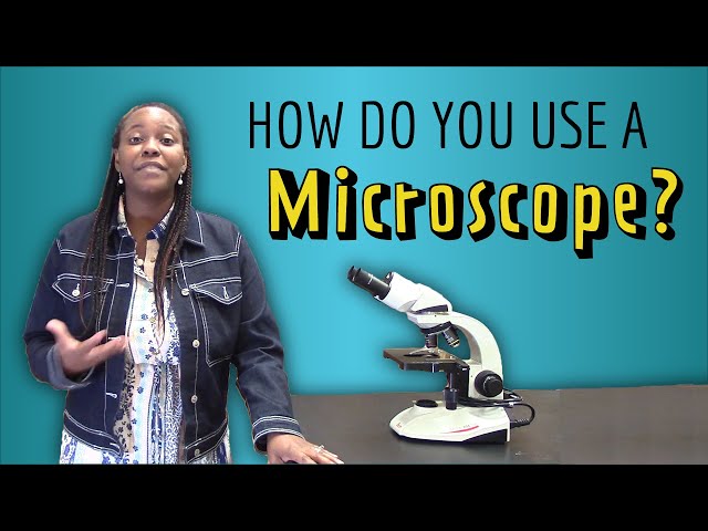 How do you use a Light Microscope? A step-by-step guide!