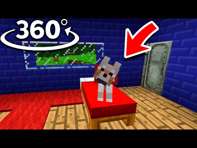 You're A Dog but Steve Leaves The Game