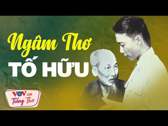 NGÂM THƠ ĐÊM KHUYA TỐ HỮU NGHE LÀ NGỦ NGON