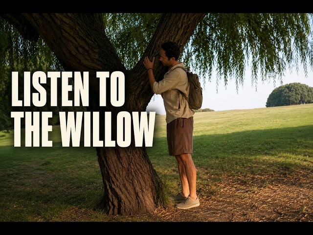 The Weeping Willow's Hidden Message | Living Plant Music for Emotional Healing (432Hz)
