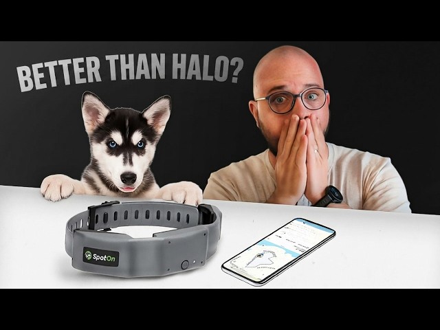 SpotOn GPS Fence Review 2026: Accuracy, Setup & Real Testing