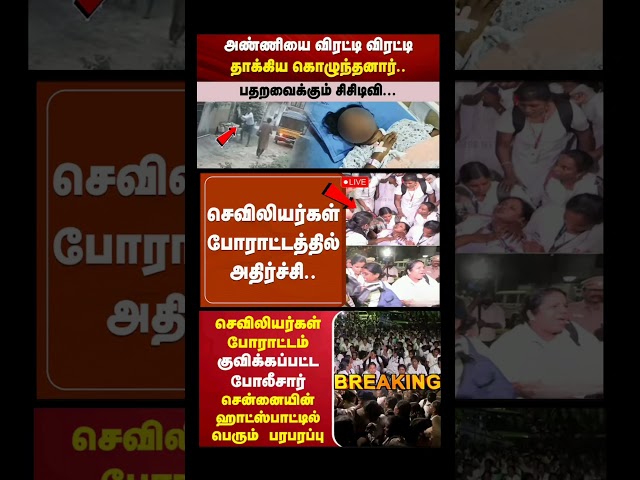 TN GOVT:⁠-#tvk#tvkvijay#cmvijay#news#tngovernment#latestnews#dmk#tnpolitics#breakingnews#admk#fypシ