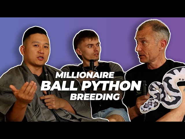 Entering the Ball Python Hobby at the TOP TIER | #ballpython #snake #reptiles