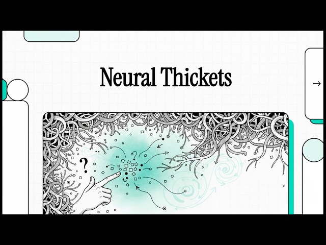 [Podcast] Neural Thickets
