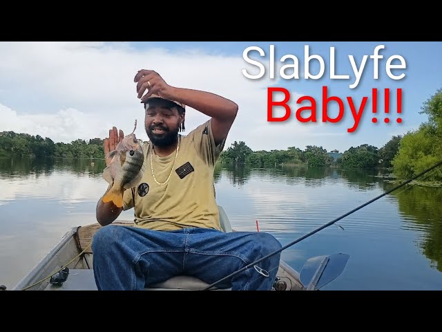 ACTION PACKED BLUEGILL & SHELLCRACKER FISHING USING TIGHT LINES #action #bluegill #fishing 