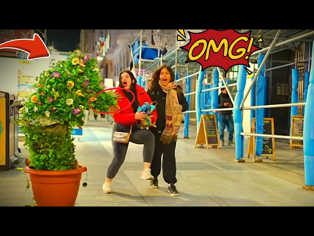 BUSHMAN PRANK : Madrid Bushman Prank – Funny Reactions From Girls & Boys 😂🔥