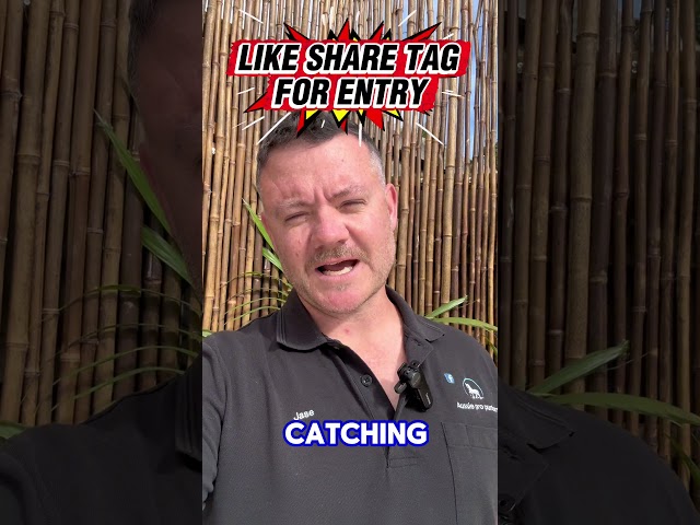 Why this is our best bet, win day34 free bet. Drawn live at 3:26pm like comment for entries #finance