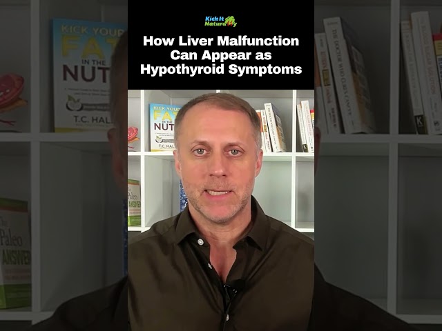 How Liver Malfunction Can Appear as Hypothyroid Symptoms