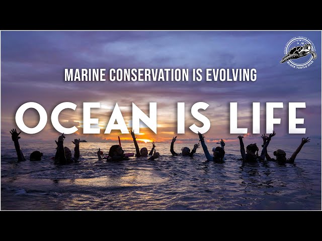 OCEAN IS LIFE (Full Documentary) | Marine Conservation Is Evolving