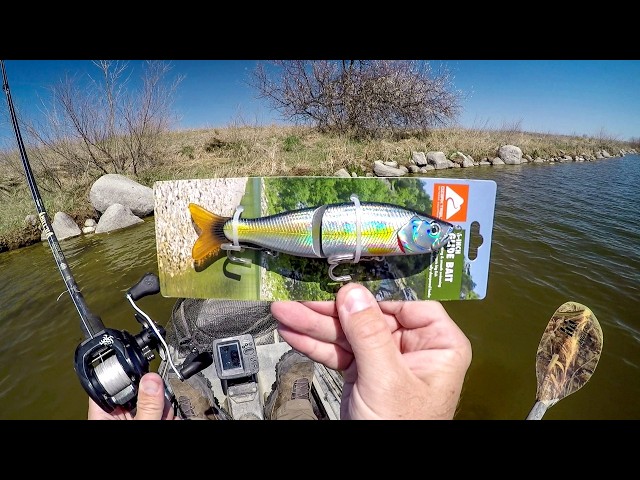 Fishing A Walmart Glide Bait For Slough Monsters!