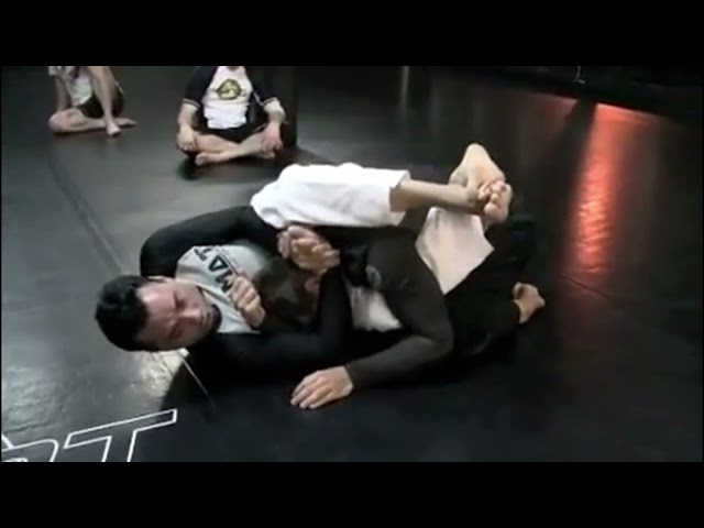 eddie bravo: double underhooks butterfly guard to swin move