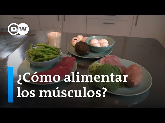 How much protein do I need to do sports?