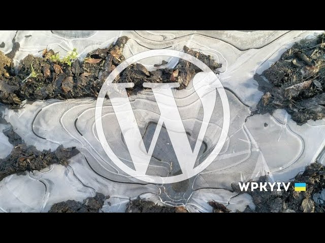 January WordPress Kyiv Meetup, in Kyiv!