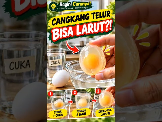How to Make a Naked Egg! 🥚😲 #howtodoit #science #shorts