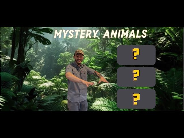 MYSTERY ANIMAL UNBOXINGS