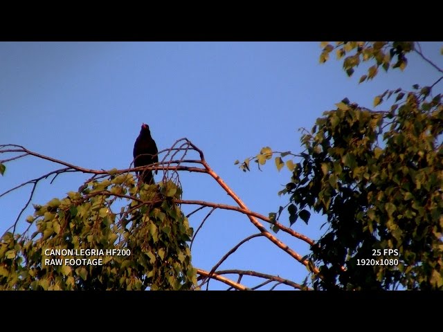 Canon LEGRIA HF200 | Full HD Video Test | 1080p | Part 1