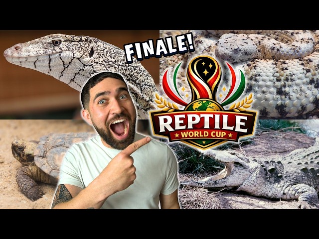 REPTILE WORLD CUP FINALE & POMONA REPTILE SUPER SHOW | Reptiles With Podcast