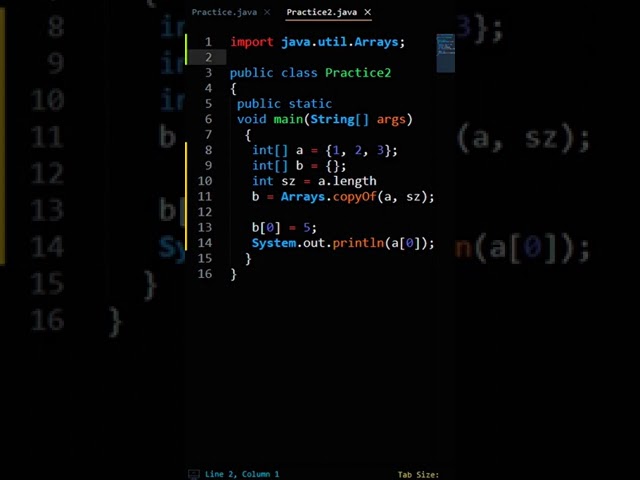 Java Deep vs. Shallow Copies | Common Mistake #shorts