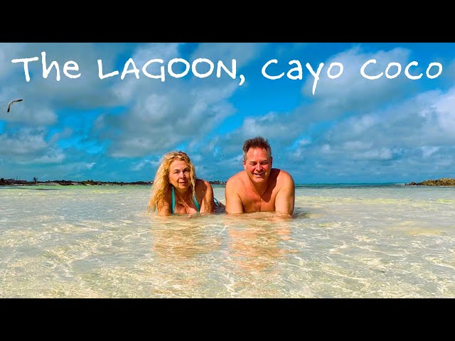 Cayo Coco's Hidden Lagoon: A Caribbean Secret Worth Sharing 🇨🇺