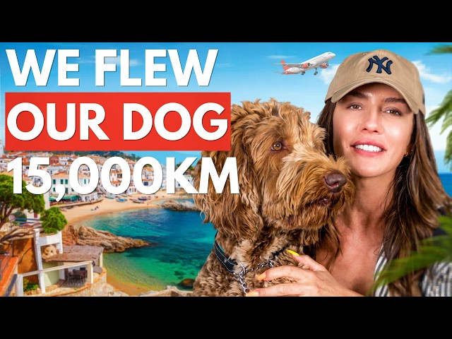 Traveling With A Dog: Australia To Europe Vlog