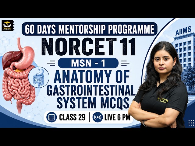NORCET 11 Exam Preparation | MSN-1 ANATOMY OF GIT SYSTEM MCQ | Concept & Top MCQs Class