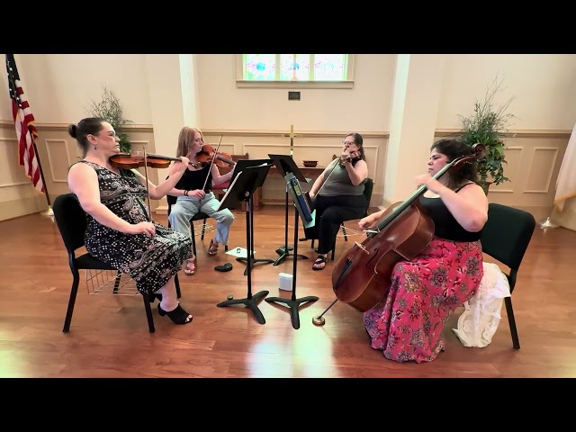 12 Dancing Princesses from Barbie Movie - String Quartet Arrangement