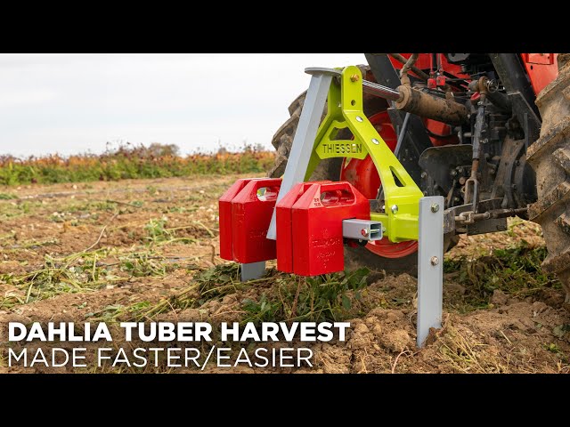 Undercutter: Harvest Dahlia Tubers With 95% Less Hand Labor