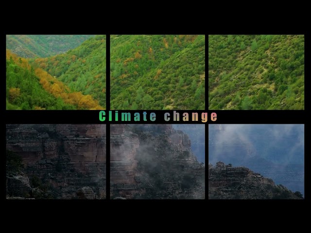 Track Matte climate change effect