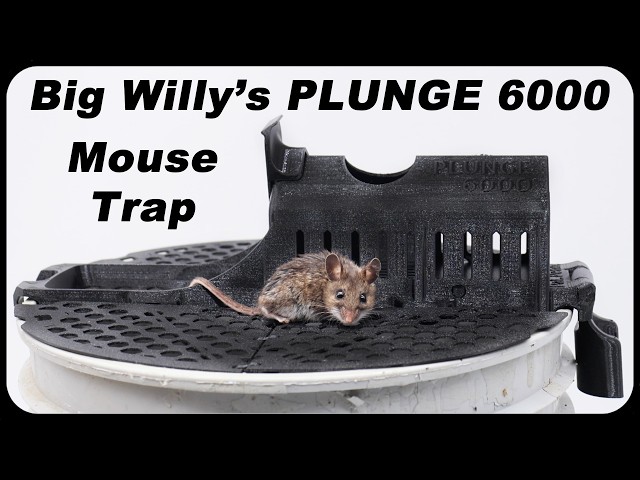 BIG WILLIE'S Plunge 6,000 Amazing Mouse Trap. Mousetrap Monday