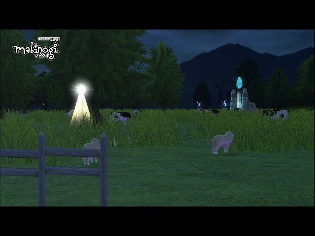 マビノギ定点撮影 MabinogiLive 新瑪奇定点摄影 마비노기 고정시점촬영