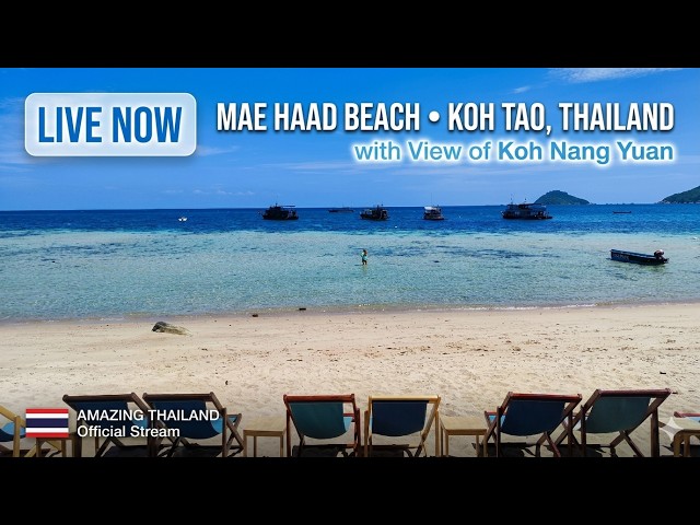 Koh Tao Island 2026: Live Stream from the Beach | View of Koh Nang Yuan Island | Weather Conditions