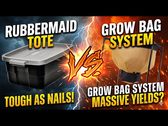Worm Bag vs Tote: Which Worm Bin is Best? (2026)