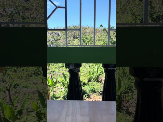 Fame Concerning The Name 