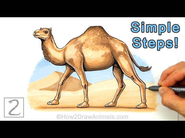 Easy Way to Draw a Camel Using Simple Shapes