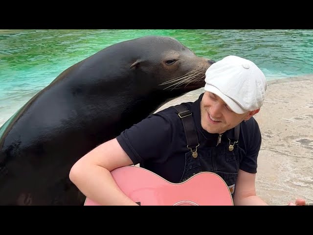 Singing for Animals Compilation 🥹❤️‍🩹