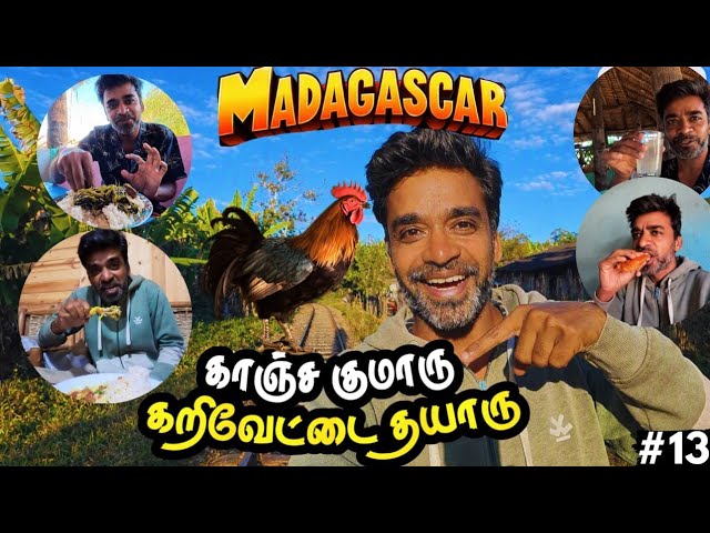 🐓Malagasy நாட்டுக்கோழி ஆனா தமிழ்நாட்டு ருசி😋| 🇲🇬Madagascar Ep13