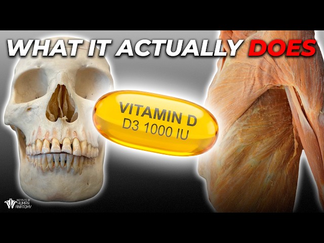 What Vitamin D Actually Does to Your Organs