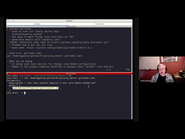 Adding .gitleaks and plugin-template - Pulp Demo