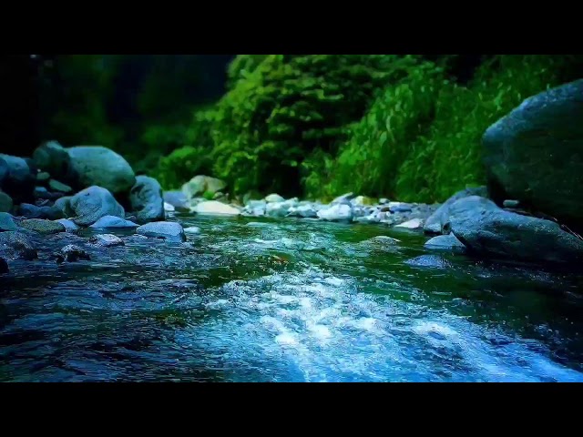 Relaxation River Soundscape for Sleep, Nature Therapy & Releasing Night Tension