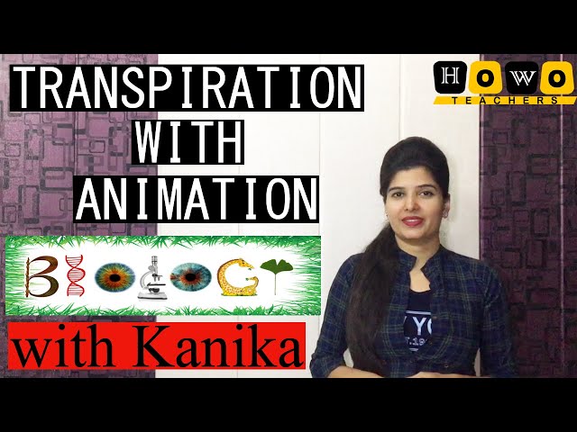 TRANSPIRATION IN ONE SHOT | BIOLOGY | TYPES OF TRANSPIRATION | ICSE | HOWO
