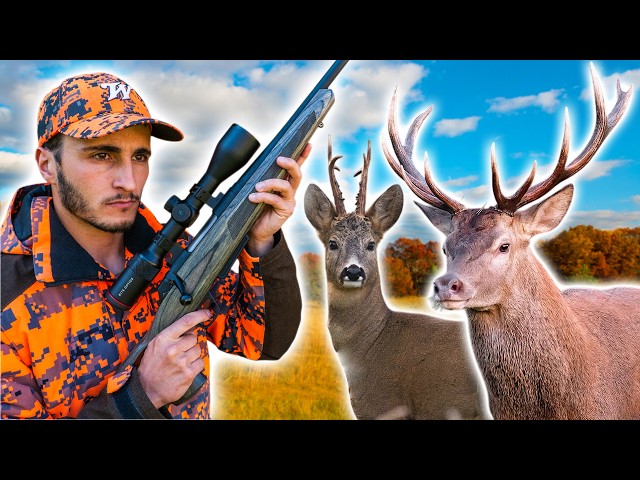Driven deer hunt: Red deer and roe deer! (homemade sausages at the end)