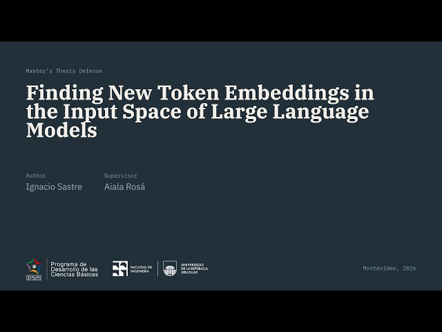 Defensa de Tesis "Finding New Token Embeddings in the Input Space of Large Language Models"