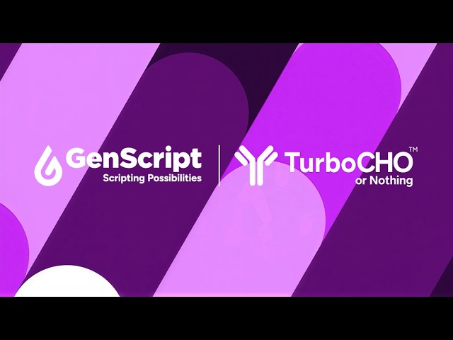 TurboCHO™ Protein Expression Kit Tutorial: From Transfection to Protein Harvest