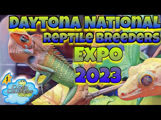 Daytona National Reptile Breeders Expo 2023.