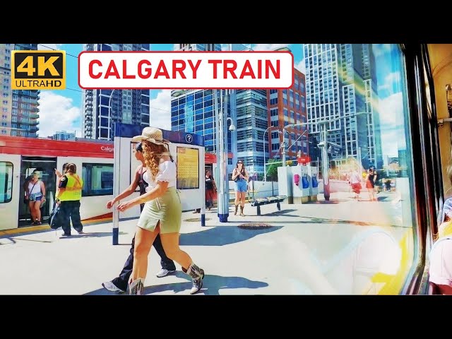Calgary Public Transit C-Train Ride through Downtown 4K🇨🇦 CANADA Travel