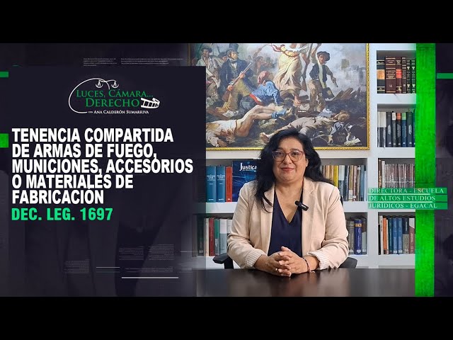 Tenencia Compartida de armas de fuego, municiones, accesorios o materiales de fabricación – LCD 448