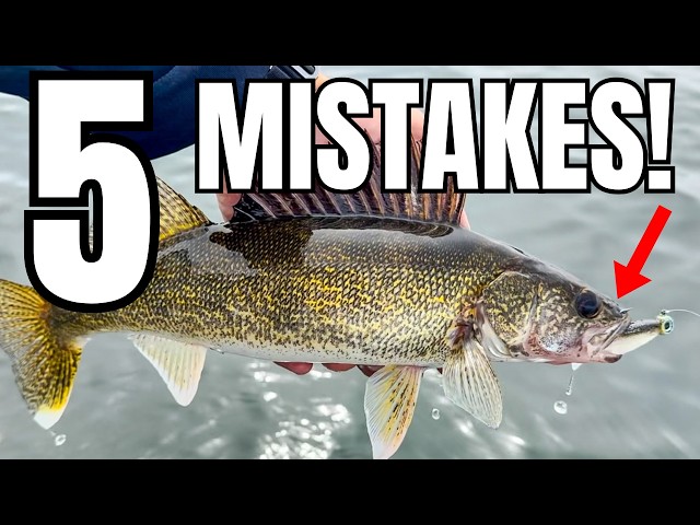 5 Reasons You're NOT Catching Walleyes Right Now!